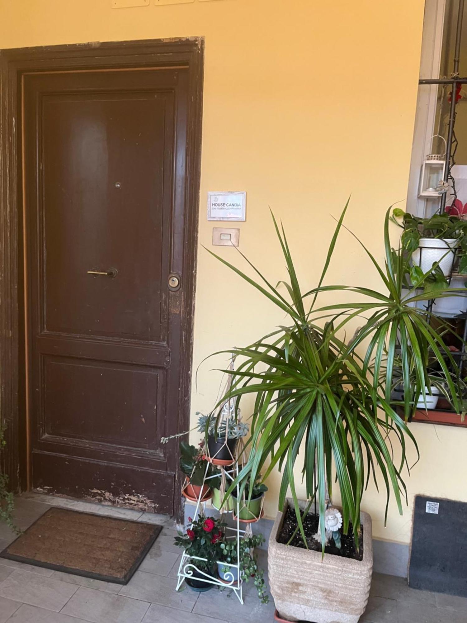 House Candia 111 - Vatican Museum Apartment 로마 외부 사진